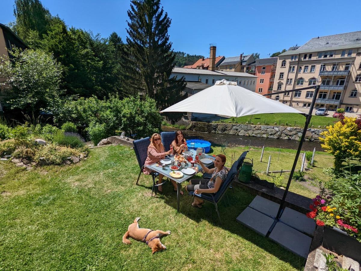 Lichtdurchflutete Helle Wohnung Mit Garten Sauna & Pool - Hw3 Sebnitz Exteriér fotografie