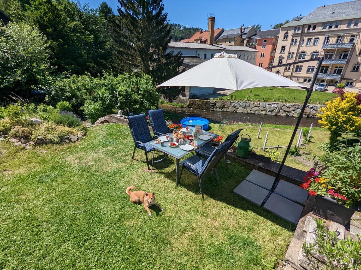 Lichtdurchflutete Helle Wohnung Mit Garten Sauna & Pool - Hw3 Sebnitz Exteriér fotografie